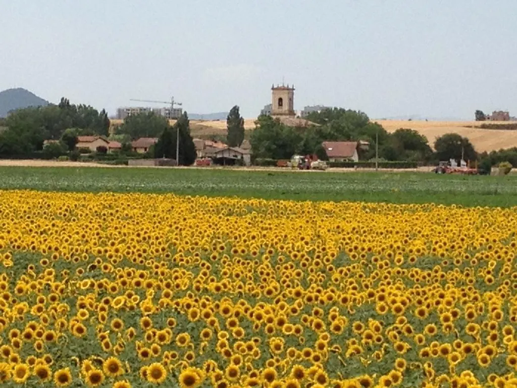 Agroturismo Arkaia Villa Vitoria-Gasteiz 0*,